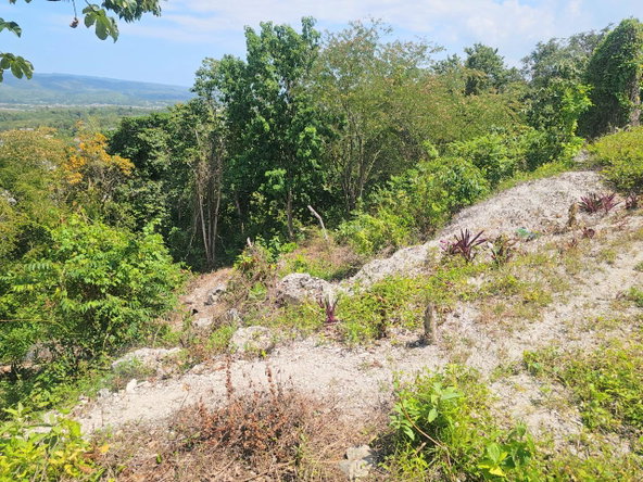 Thirtieth image of 547 Haughton Tower Estate in Montego Bay, St. James, Jamaica - property is For Sale