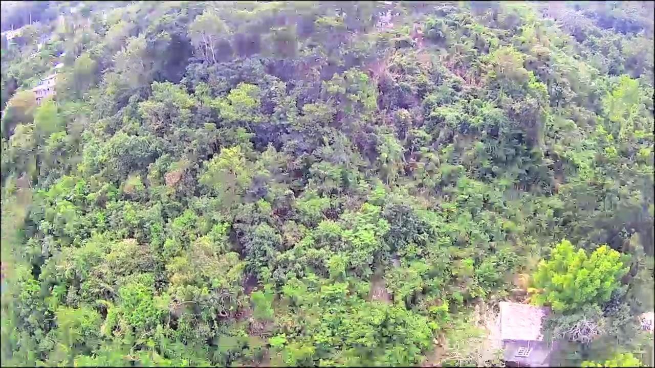 Sixth image of 547 Haughton Tower Estate in Montego Bay, St. James, Jamaica - property is For Sale