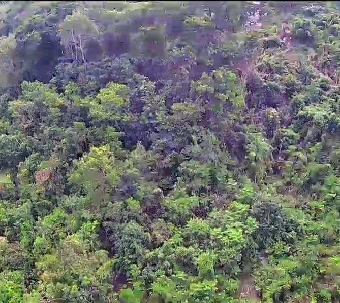 Seventh image of 547 Haughton Tower Estate in Montego Bay, St. James, Jamaica - property is For Sale