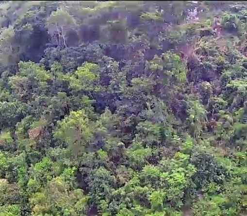 Eighth image of 547 Haughton Tower Estate in Montego Bay, St. James, Jamaica - property is For Sale