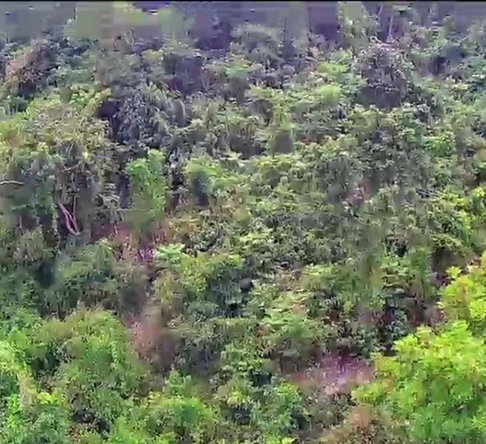 Tenth image of 547 Haughton Tower Estate in Montego Bay, St. James, Jamaica - property is For Sale