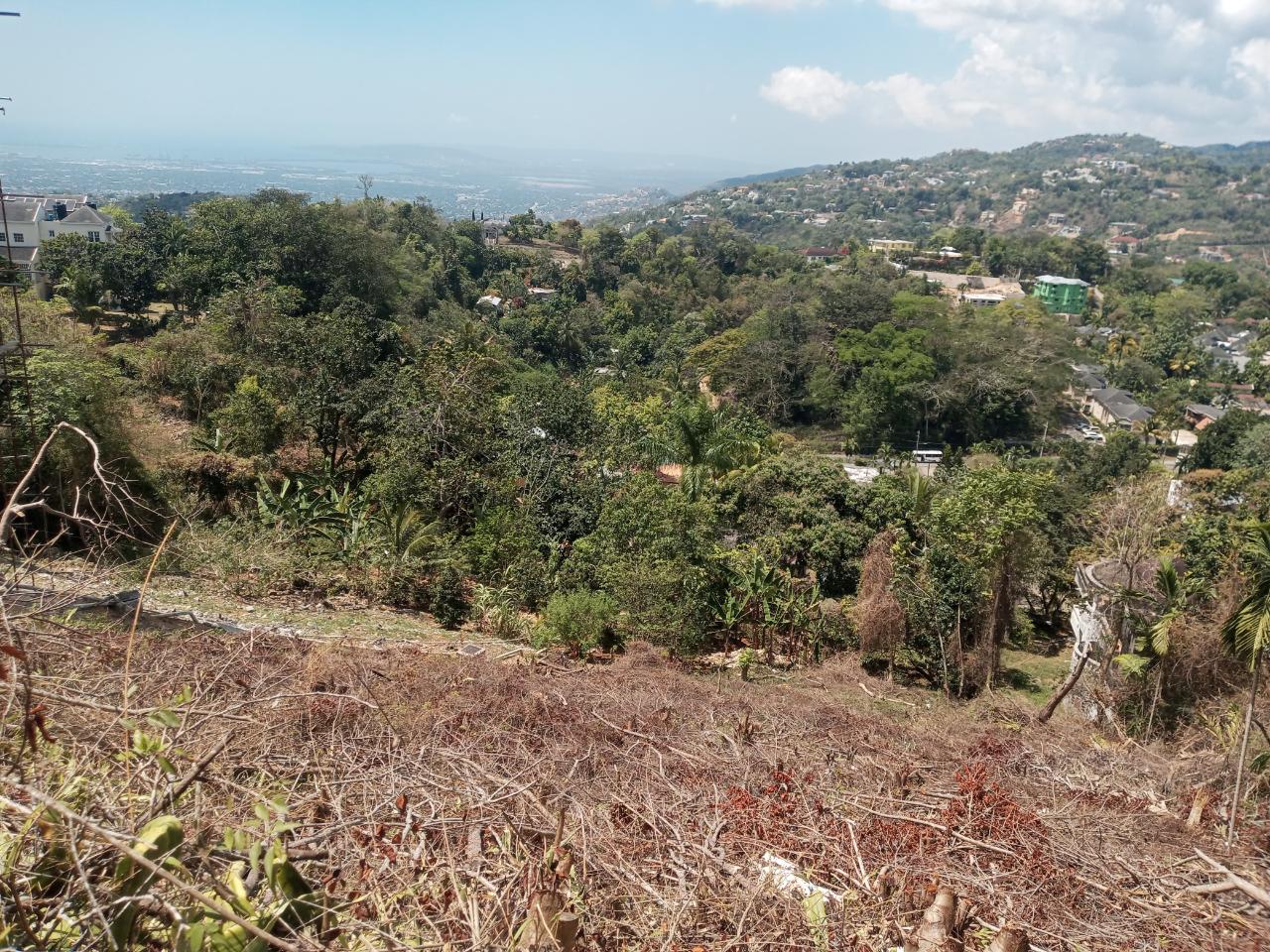 Second image of 10a Highbury Road in Kingston 9, St. Andrew, Jamaica - property is For Sale