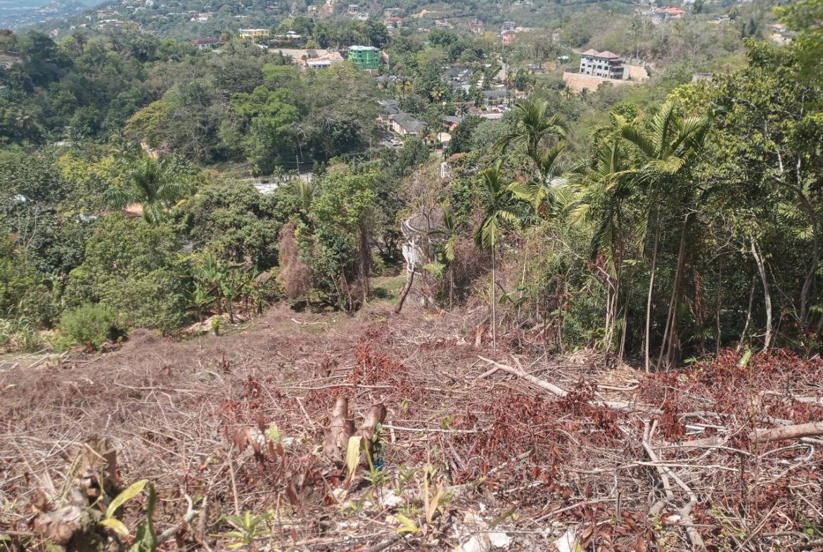 Third image of 10a Highbury Road in Kingston 9, St. Andrew, Jamaica - property is For Sale