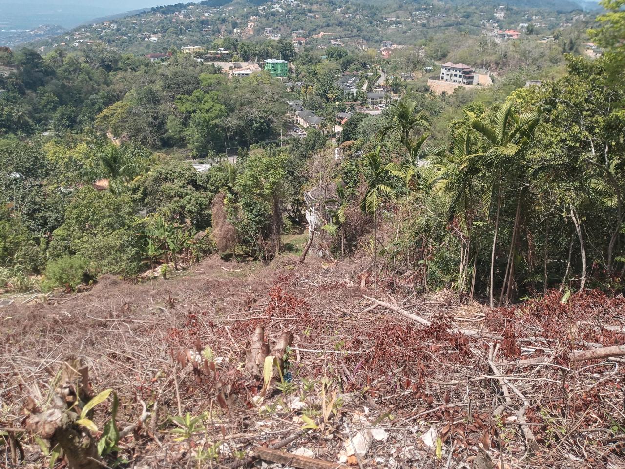 Third image of 10a Highbury Road in Kingston 9, St. Andrew, Jamaica - property is For Sale