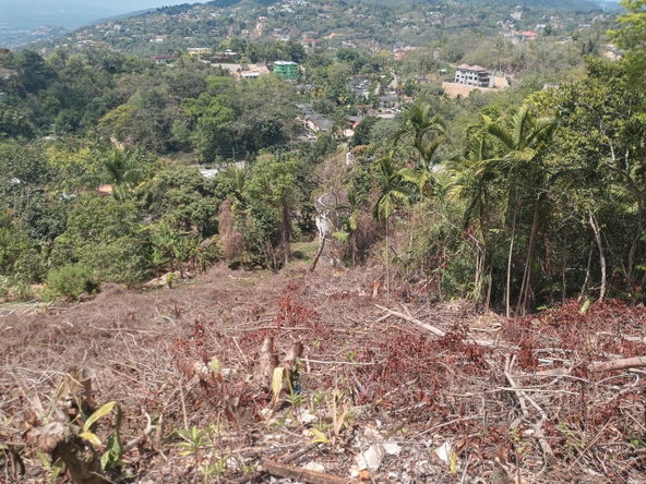 Third image of 10a Highbury Road in Kingston 9, St. Andrew, Jamaica - property is For Sale