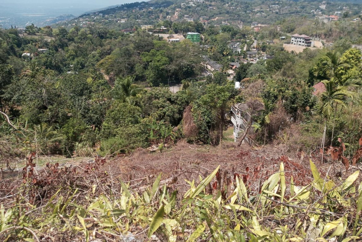 Fifth image of 10a Highbury Road in Kingston 9, St. Andrew, Jamaica - property is For Sale