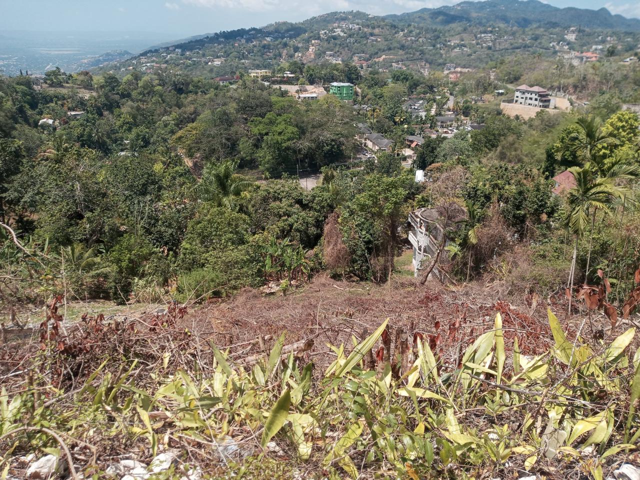 Fifth image of 10a Highbury Road in Kingston 9, St. Andrew, Jamaica - property is For Sale