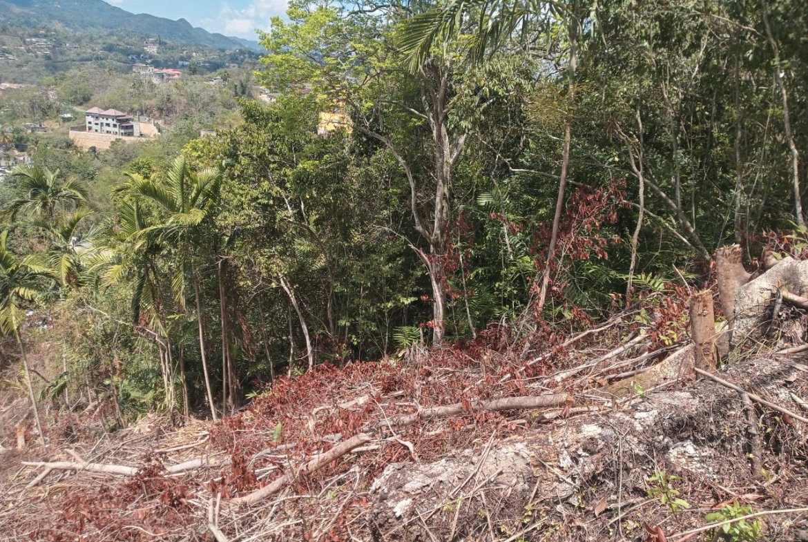 Sixth image of 10a Highbury Road in Kingston 9, St. Andrew, Jamaica - property is For Sale