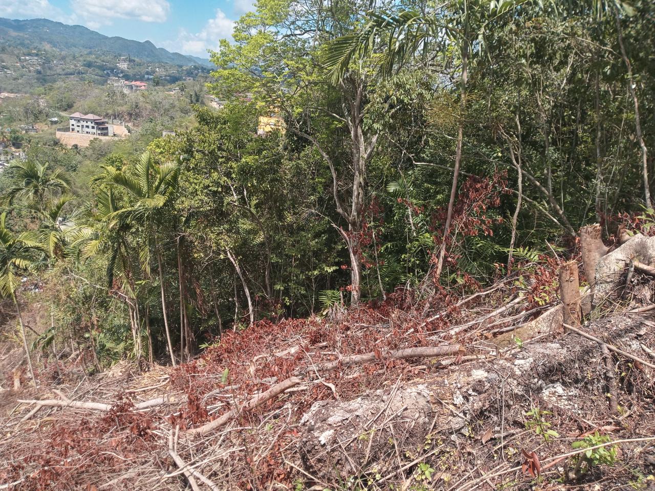 Sixth image of 10a Highbury Road in Kingston 9, St. Andrew, Jamaica - property is For Sale