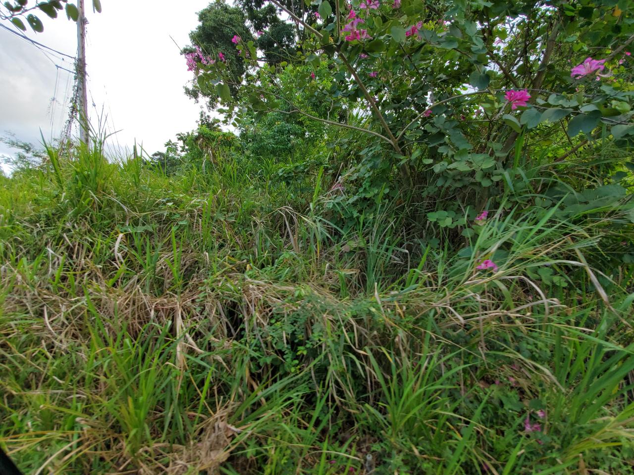 Second image of 127 Tanglewood in St. Ann's Bay, St. Ann, Jamaica - property is For Sale