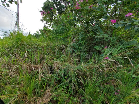 Second image of 127 Tanglewood in St. Ann's Bay, St. Ann, Jamaica - property is For Sale