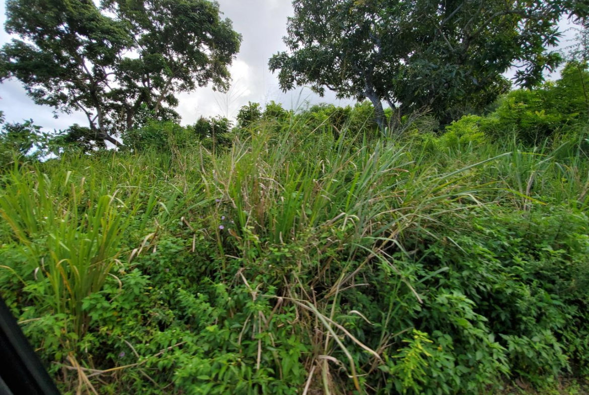 First image of 127 Tanglewood in St. Ann's Bay, St. Ann, Jamaica - property is For Sale