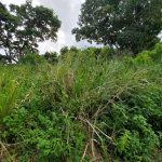 First image of 127 Tanglewood in St. Ann's Bay, St. Ann, Jamaica - property is For Sale