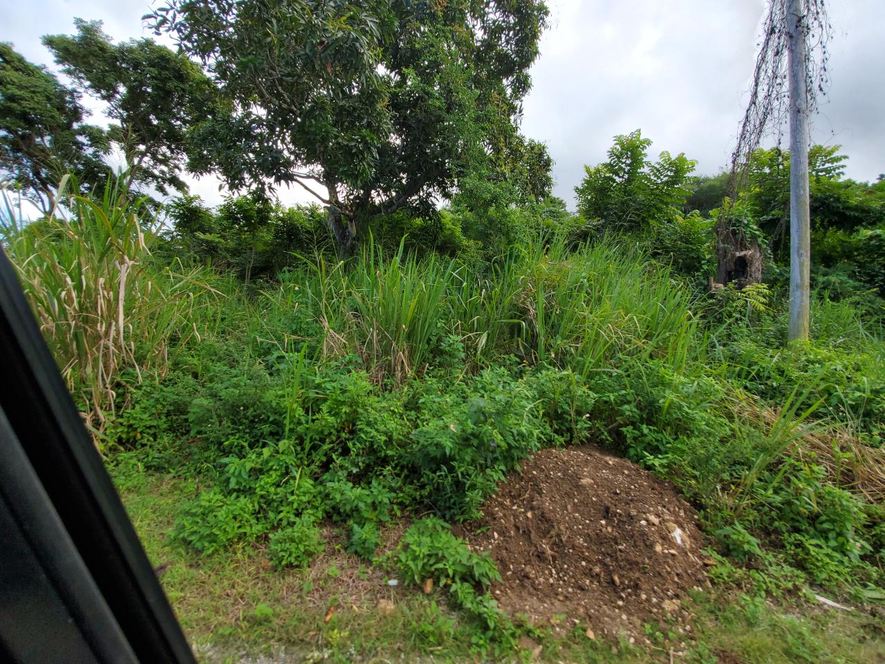 Fourth image of 127 Tanglewood in St. Ann's Bay, St. Ann, Jamaica - property is For Sale