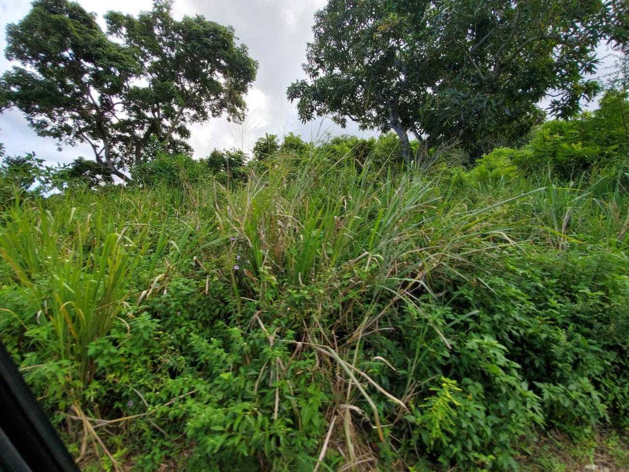 First image of 127 Tanglewood in St. Ann's Bay, St. Ann, Jamaica - property is For Sale