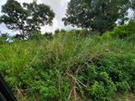 First image of 127 Tanglewood in St. Ann's Bay, St. Ann, Jamaica - property is For Sale