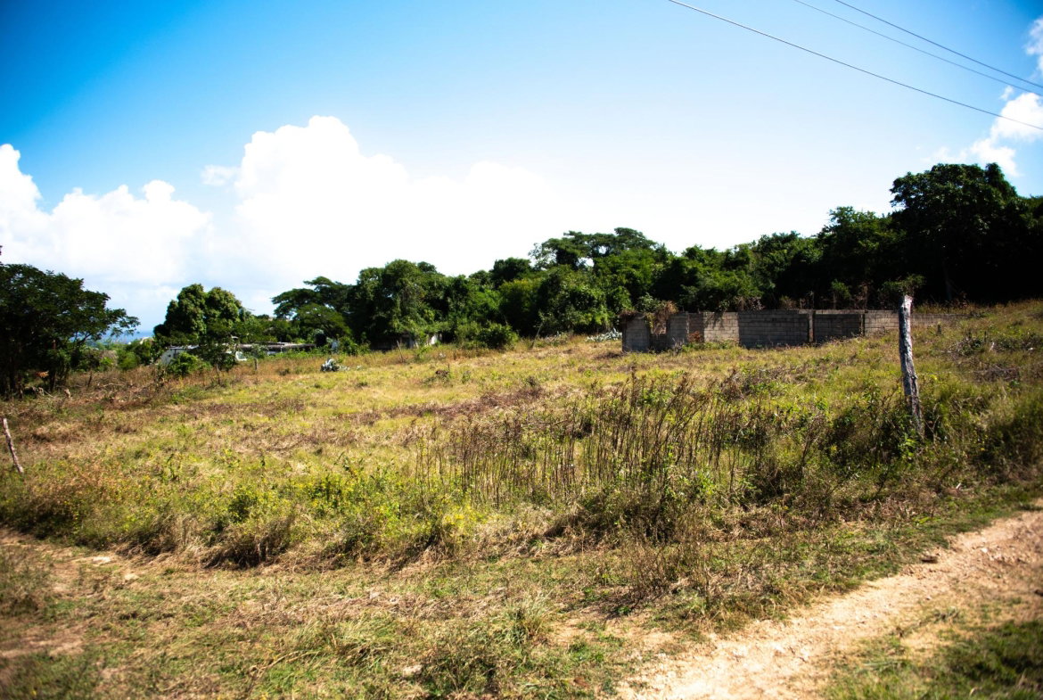 Second image of Clermont Dist. Trelawny in Falmouth, Trelawny, Jamaica - property is For Sale