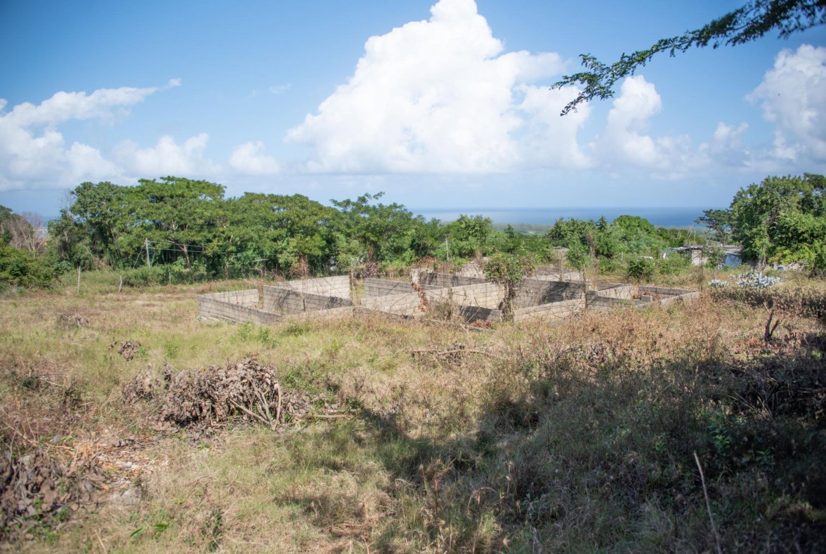 First image of Clermont Dist. Trelawny in Falmouth, Trelawny, Jamaica - property is For Sale