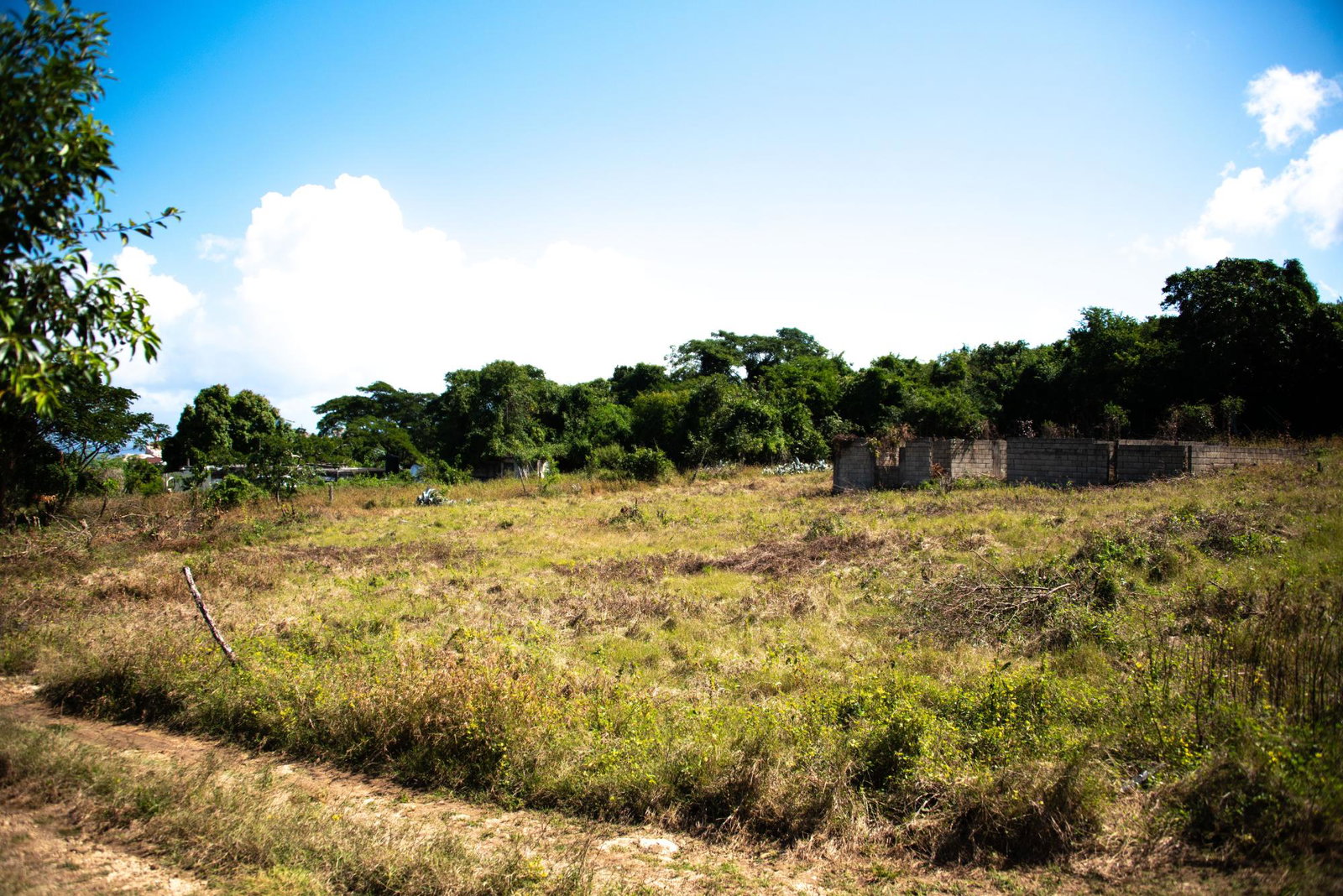 Stunning-Residential-Lot-for-Sale-in-Trelawny-Jamaica-Caribbean-Sea-Views Third image of Clermont Dist. Trelawny in Falmouth, Trelawny, Jamaica - property is For Sale