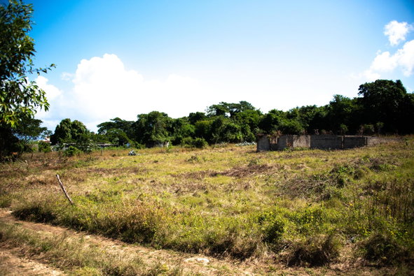Third image of Clermont Dist. Trelawny in Falmouth, Trelawny, Jamaica - property is For Sale