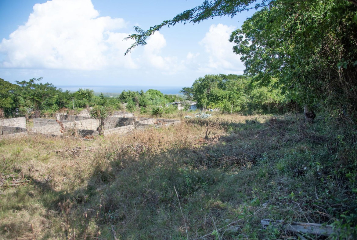 Fifth image of Clermont Dist. Trelawny in Falmouth, Trelawny, Jamaica - property is For Sale