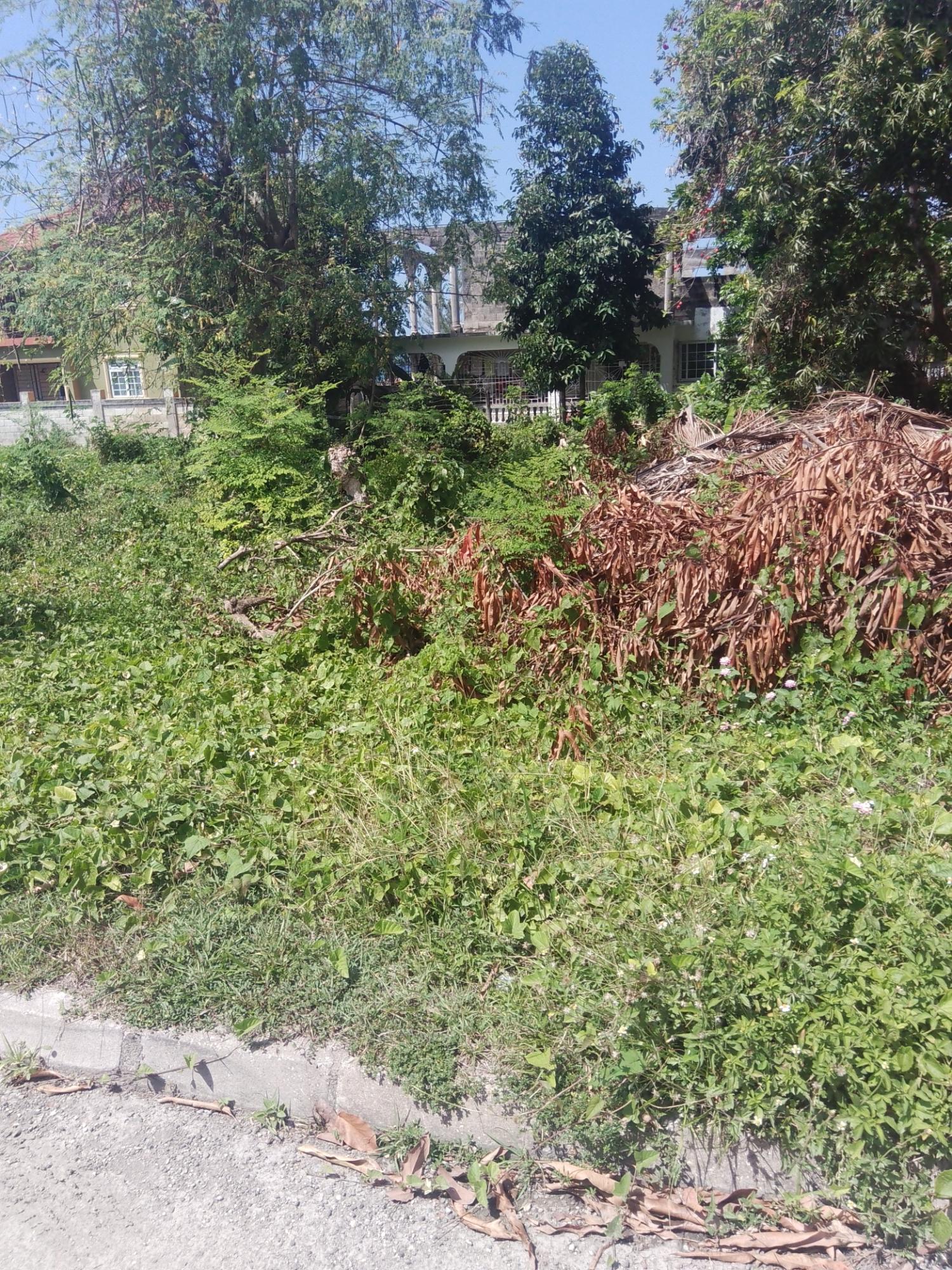 Second image of Lot# 183 Tryall Gardens in Sandy Bay, Hanover, Jamaica - property is For Sale