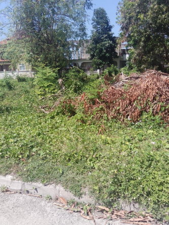 Second image of Lot# 183 Tryall Gardens in Sandy Bay, Hanover, Jamaica - property is For Sale