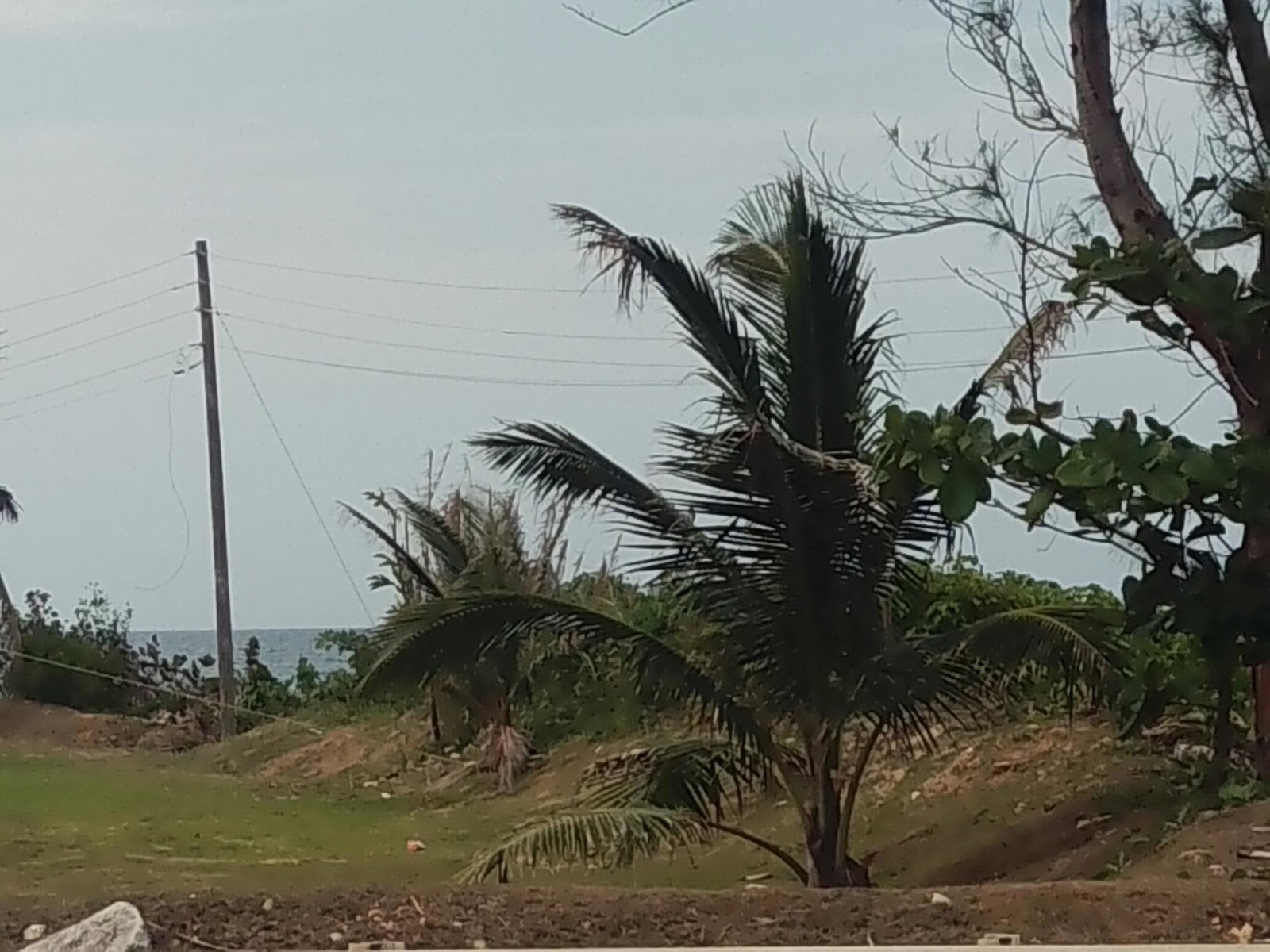 Sixth image of Lot# 183 Tryall Gardens in Sandy Bay, Hanover, Jamaica - property is For Sale