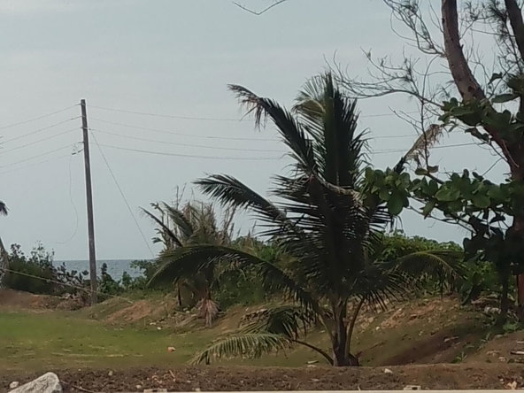 Sixth image of Lot# 183 Tryall Gardens in Sandy Bay, Hanover, Jamaica - property is For Sale