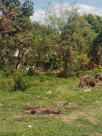 First image of Lot# 183 Tryall Gardens in Sandy Bay, Hanover, Jamaica - property is For Sale