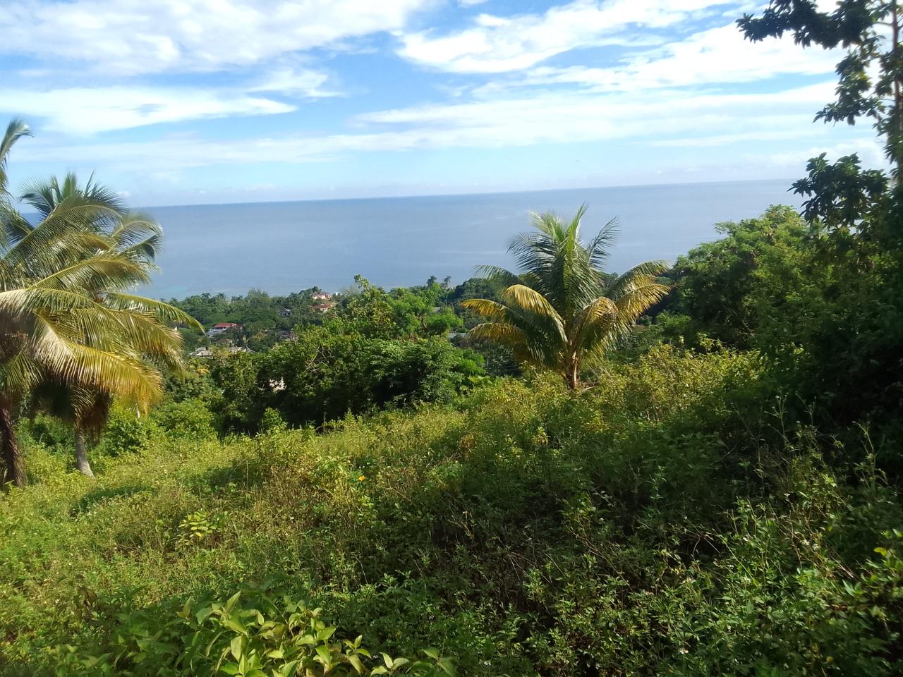 Stunning-Residential-Lot-for-Sale-in-Unity-Hall-Jamaica Second image of 8 Rhynie Drive, Unity Hall, in Montego Bay, St. James, Jamaica - property is For Sale