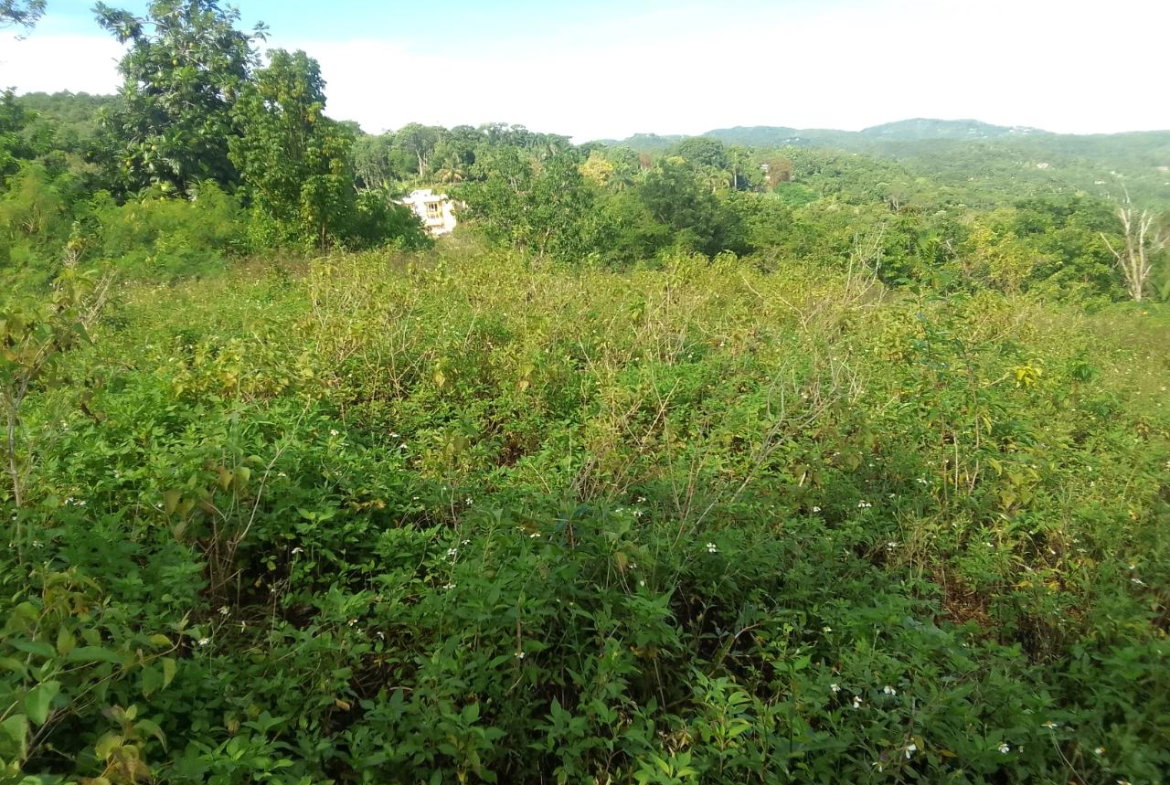 Second image of 8 Rhynie Drive, Unity Hall, in Montego Bay, St. James, Jamaica - property is For Sale