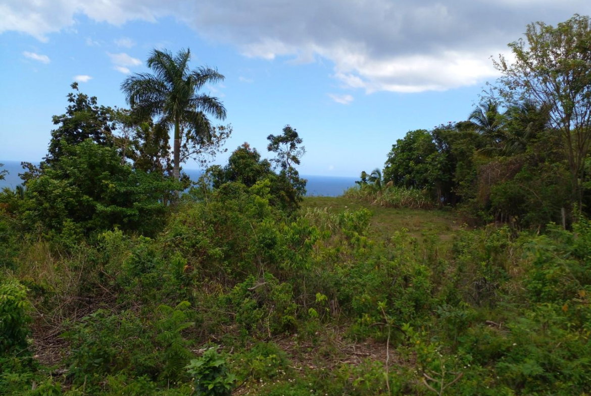 Fourth image of 8 Rhynie Drive, Unity Hall, in Montego Bay, St. James, Jamaica - property is For Sale