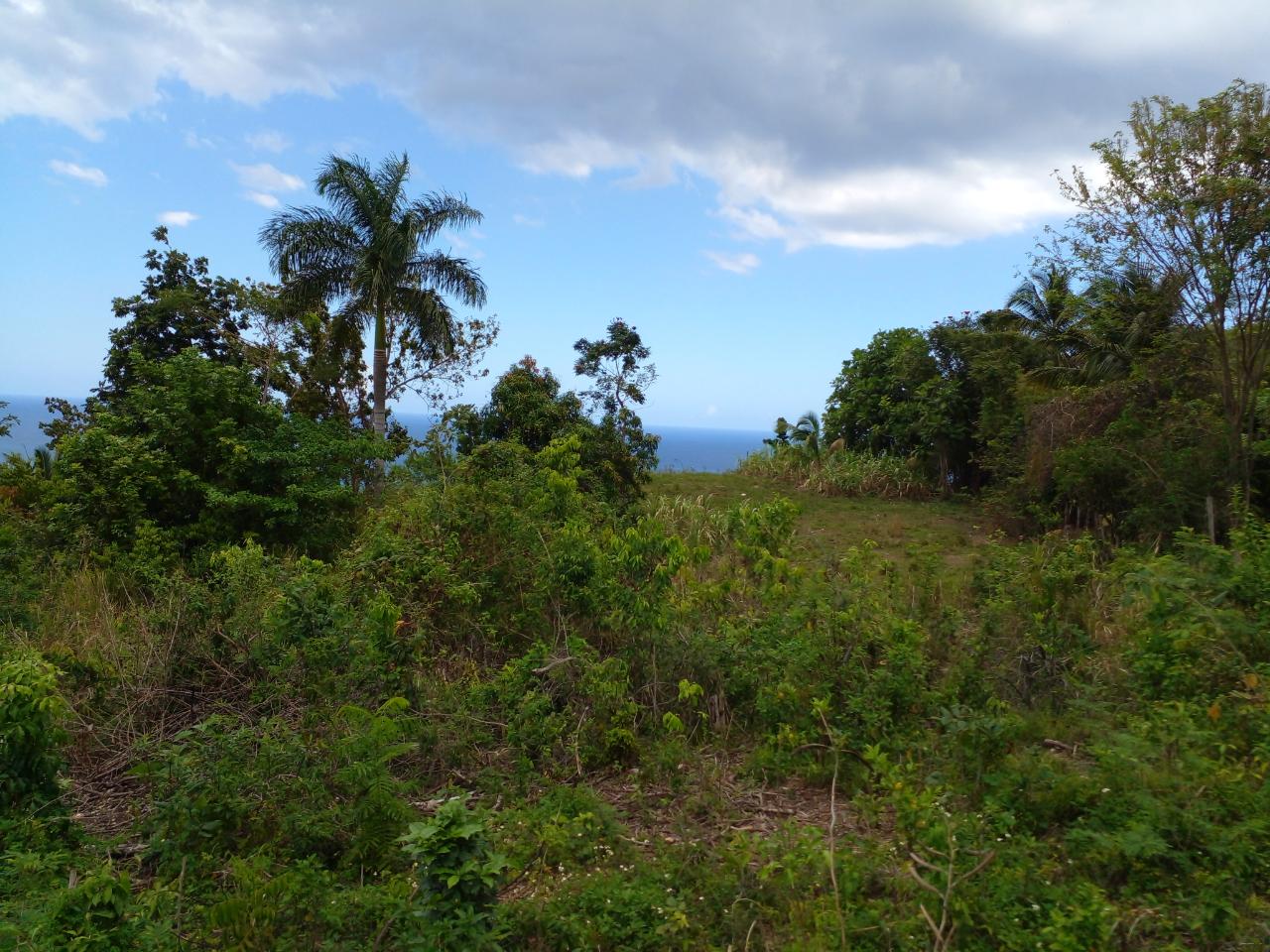 Fourth image of 8 Rhynie Drive, Unity Hall, in Montego Bay, St. James, Jamaica - property is For Sale