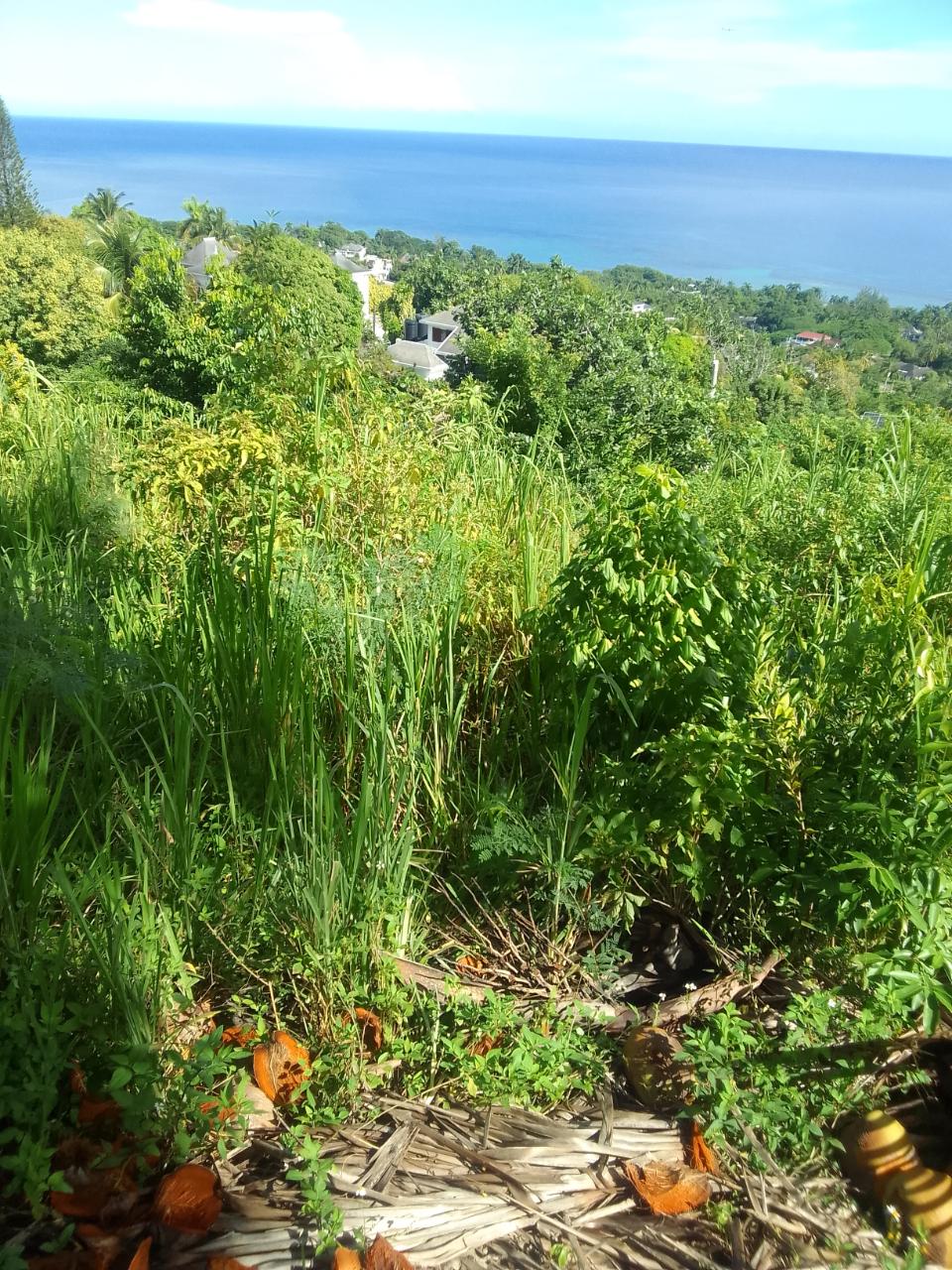 Seventh image of 8 Rhynie Drive, Unity Hall, in Montego Bay, St. James, Jamaica - property is For Sale