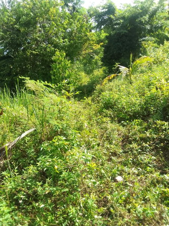 Eighth image of 8 Rhynie Drive, Unity Hall, in Montego Bay, St. James, Jamaica - property is For Sale