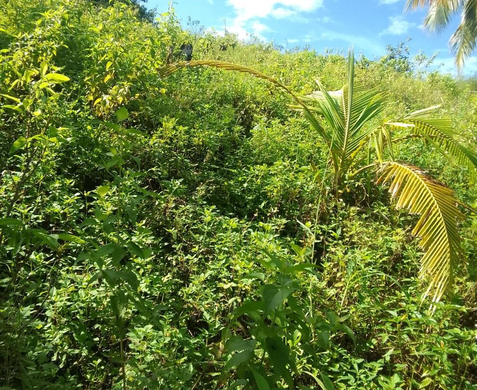 Ninth image of 8 Rhynie Drive, Unity Hall, in Montego Bay, St. James, Jamaica - property is For Sale