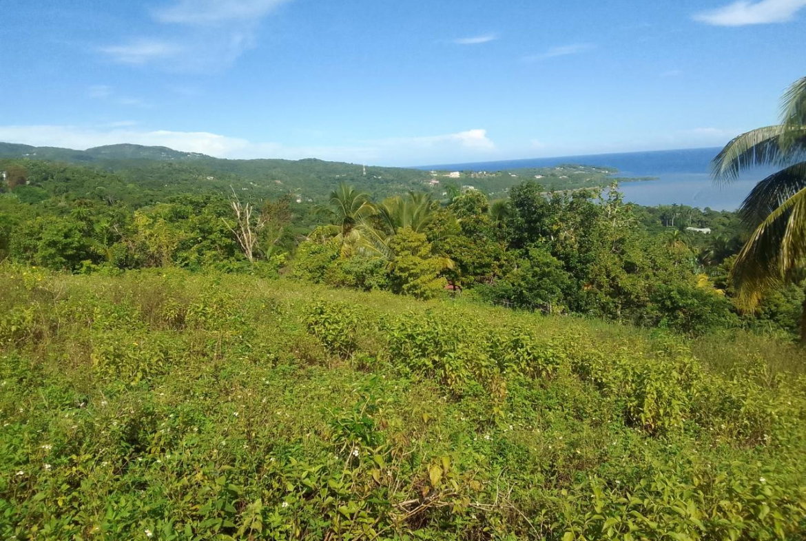 Third image of 8 Rhynie Drive, Unity Hall, in Montego Bay, St. James, Jamaica - property is For Sale