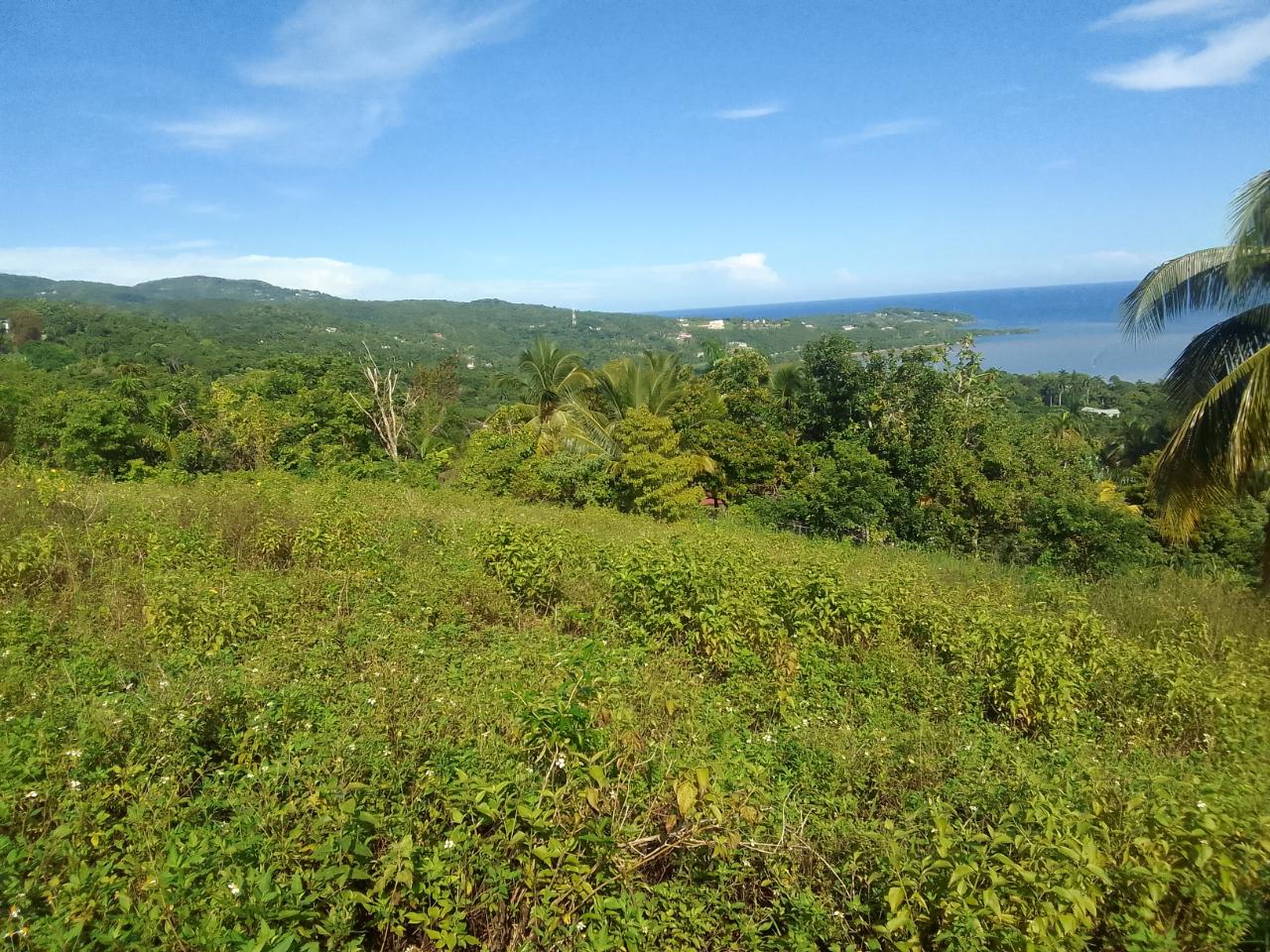 Stunning-Residential-Lot-for-Sale-in-Unity-Hall-Jamaica Third image of 8 Rhynie Drive, Unity Hall, in Montego Bay, St. James, Jamaica - property is For Sale
