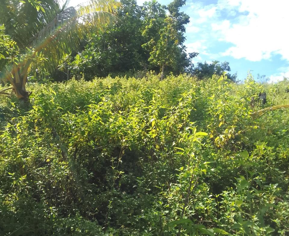 Sixth image of 8 Rhynie Drive, Unity Hall, in Montego Bay, St. James, Jamaica - property is For Sale