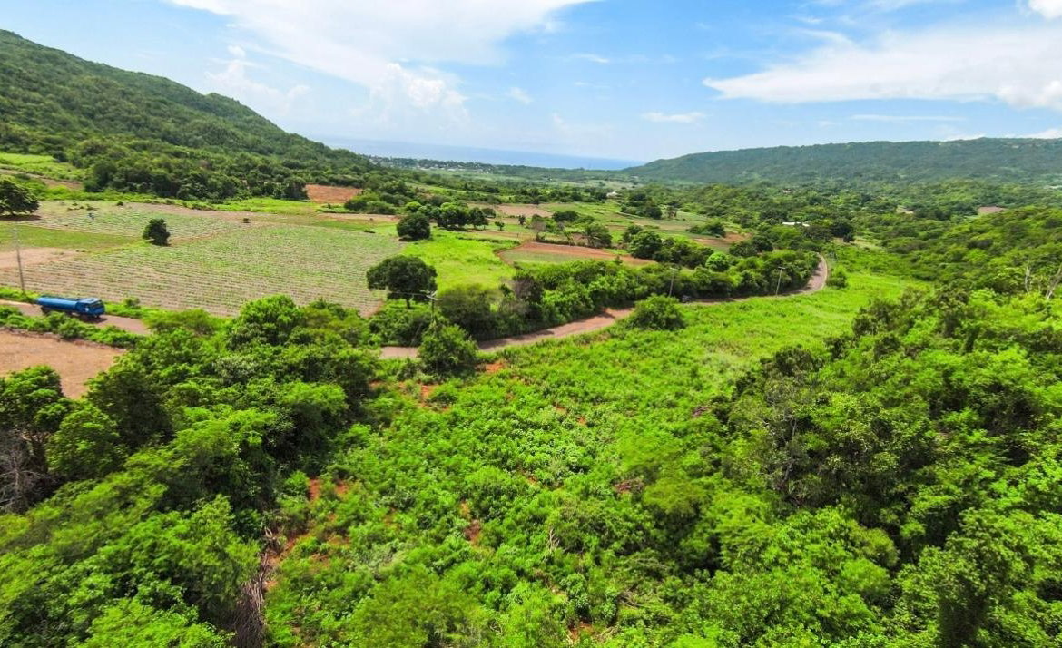 Thirteenth image of Duff House, Manchester in Rowes Corner, Manchester, Jamaica - property is For Sale