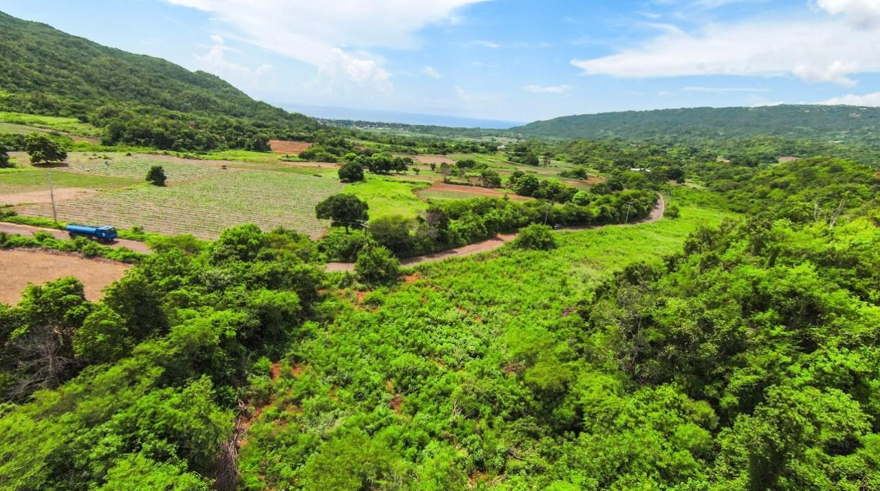 Stunning-Residential-Lots-for-Sale-in-Manchester-Jamaica Thirteenth image of Duff House, Manchester in Rowes Corner, Manchester, Jamaica - property is For Sale