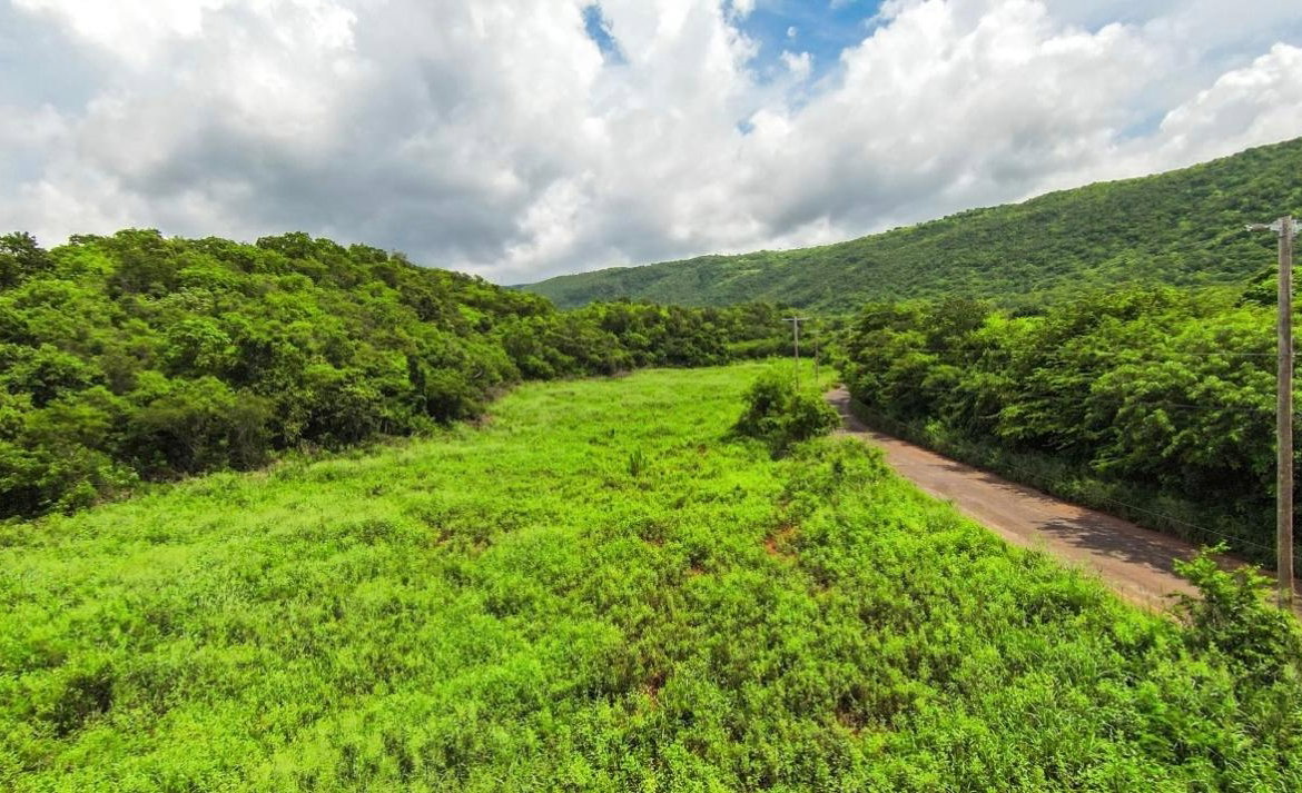 Fourteenth image of Duff House, Manchester in Rowes Corner, Manchester, Jamaica - property is For Sale