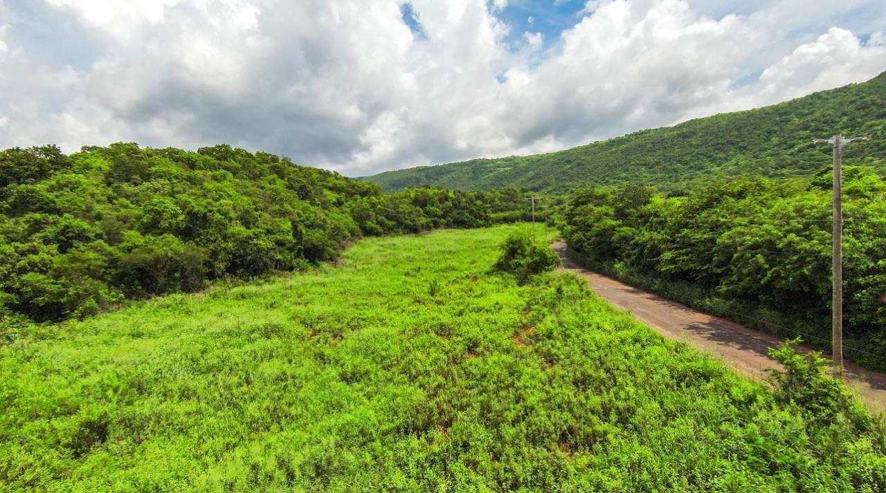 Stunning-Residential-Lots-for-Sale-in-Manchester-Jamaica Fourteenth image of Duff House, Manchester in Rowes Corner, Manchester, Jamaica - property is For Sale