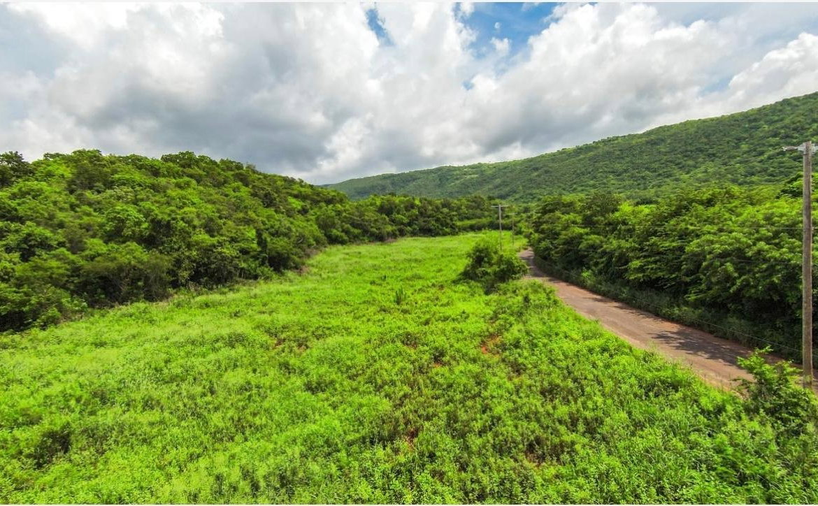 Third image of Duff House, Manchester in Rowes Corner, Manchester, Jamaica - property is For Sale