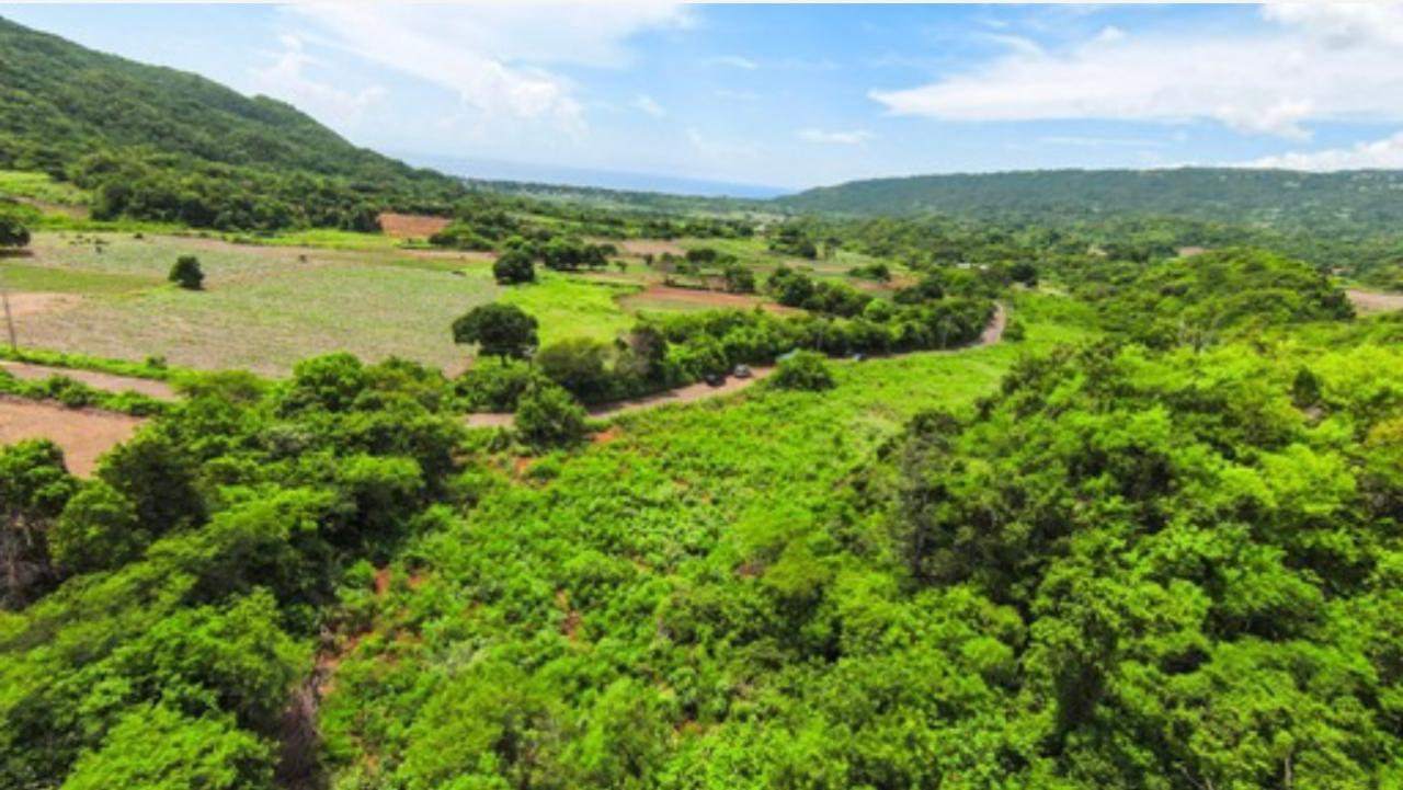 Stunning-Residential-Lots-for-Sale-in-Manchester-Jamaica Fifth image of Duff House, Manchester in Rowes Corner, Manchester, Jamaica - property is For Sale