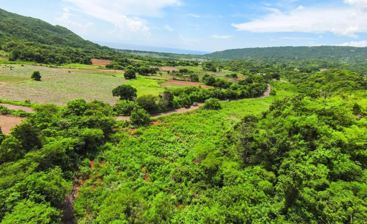 Ninth image of Duff House, Manchester in Rowes Corner, Manchester, Jamaica - property is For Sale