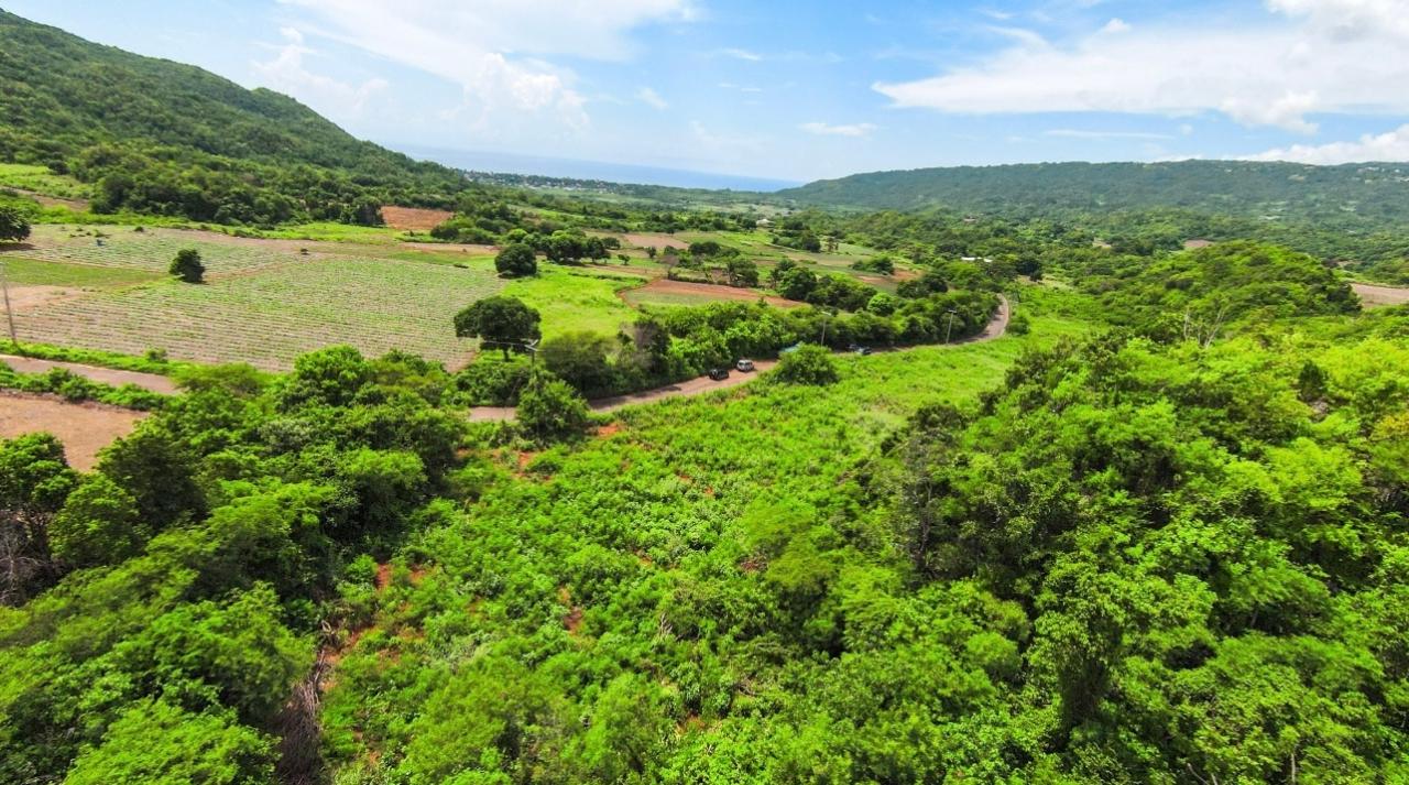 Stunning-Residential-Lots-for-Sale-in-Manchester-Jamaica Ninth image of Duff House, Manchester in Rowes Corner, Manchester, Jamaica - property is For Sale