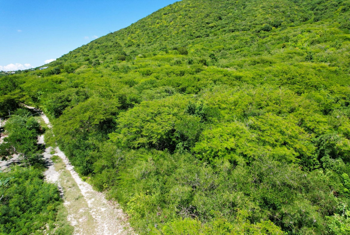 First image of Hillside, Yallah, in Yallahs, St. Thomas, Jamaica - property is For Sale