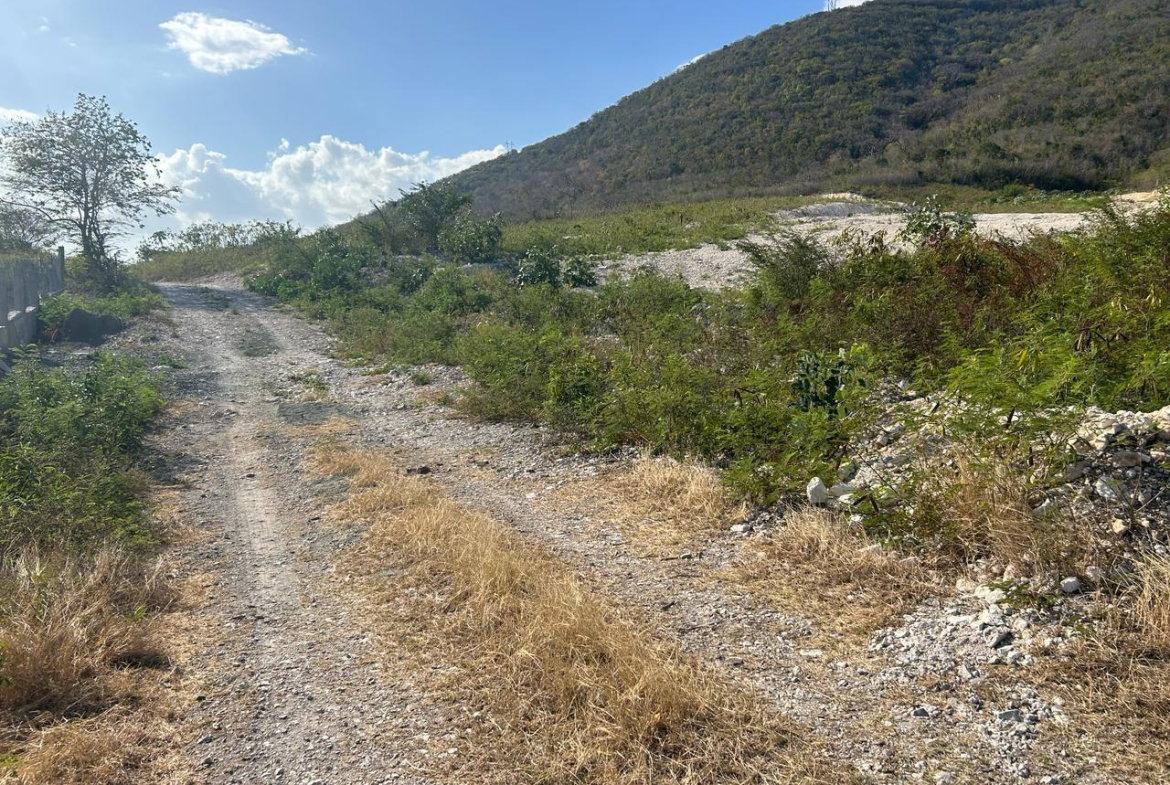 Thirteenth image of Hillside, Yallah, in Yallahs, St. Thomas, Jamaica - property is For Sale